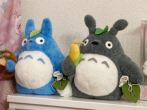社長の家のトトロ