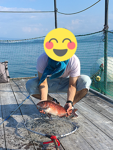 立派な魚が釣れました